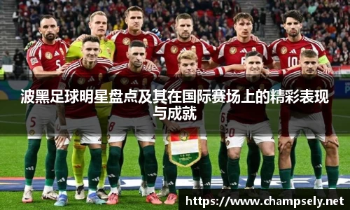 波黑足球明星盘点及其在国际赛场上的精彩表现与成就